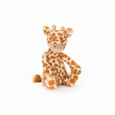 Jellycat Bashful Giraffe | FO5017463